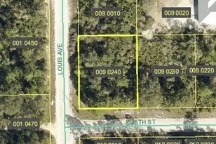4183 E 25th St, Alva, FL 33920 - Photo 1