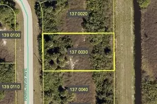 305 Rawlings Ave, Lehigh Acres, FL 33974 - Photo 1