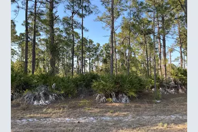 927 Kanuga St E, Lehigh Acres, FL 33974 - Photo 1