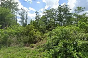 1032 Anaconda Ave S, Lehigh Acres, FL 33974 - Photo 1