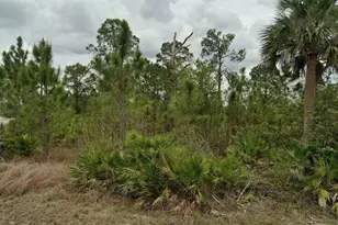 641 Sondu Ave, Lehigh Acres, FL 33974 - Photo 1