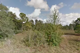 2707 54th St SW, Lehigh Acres, FL 33976 - Photo 1