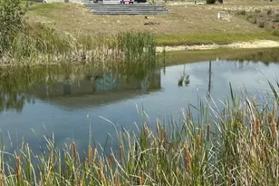 329 NW 19th Terrace, Cape Coral, FL 33993 - Photo 1