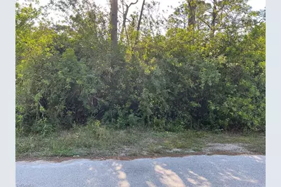 636 Sunflower Ave S, Lehigh Acres, FL 33974 - Photo 1