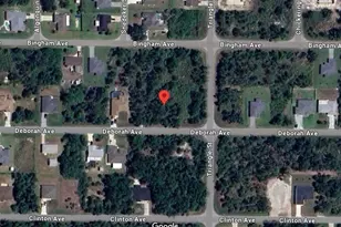 22106 Deborah Ave, Port Charlotte, FL 33954 - Photo 1