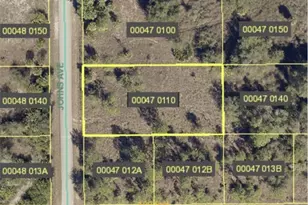 1902 Johns Ave, Lehigh Acres, FL 33972 - Photo 1