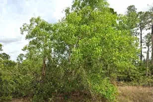 1247 Edna St E, Lehigh Acres, FL 33974 - Photo 1