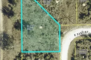 3005 Louis Ave, Alva, FL 33920 - Photo 1
