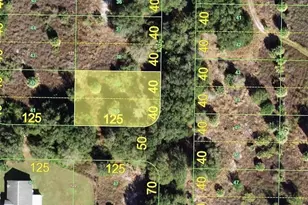 2125 Chaplin Dr, Punta Gorda, FL 33983 - Photo 1