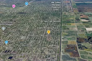 647 Mulberry Ave S, Lehigh Acres, FL 33974 - Photo 1