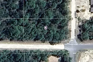 11269 Tinamou Ave, Weeki Wachee, FL 34614 - Photo 1