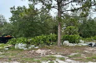 547 Cypress Ave S, Lehigh Acres, FL 33974 - Photo 1