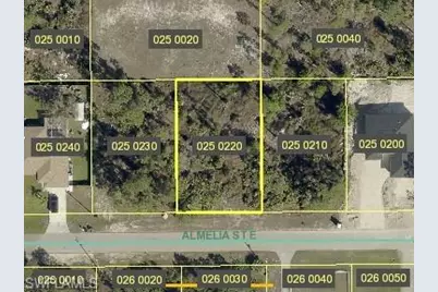 715 Almelia St E, Lehigh Acres, FL 33974 - Photo 1