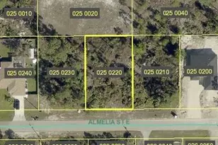 715 Almelia St E, Lehigh Acres, FL 33974 - Photo 1