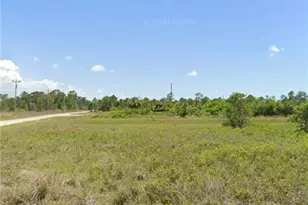 862 Lamar St E, Lehigh Acres, FL 33974 - Photo 1