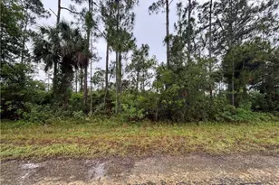 1602 Loraine Ave S, Lehigh Acres, FL 33976 - Photo 1