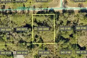 1226 Ramsay St E, Lehigh Acres, FL 33974 - Photo 1