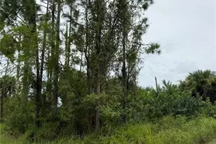 2903 Hanna Ave N, Lehigh Acres, FL 33971 - Photo 1