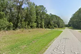 8698 N Alameda Dr, Citrus Springs, FL 34434 - Photo 1