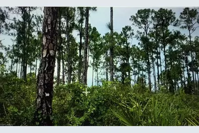 41st Ave NE, Naples, FL 34120 - Photo 1