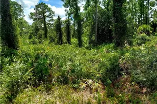 928 Binkley St E, Lehigh Acres, FL 33974 - Photo 1