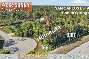 24132 Sunny Ln, Bonita Springs, FL 34135 - Photo 1