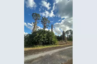 1924 Miriam St, Lehigh Acres, FL 33972 - Photo 1