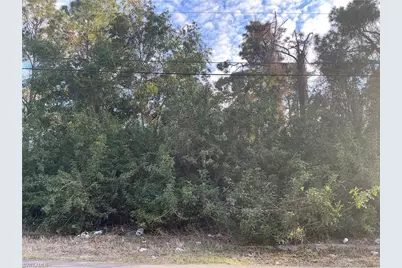 3811 4th St W, Lehigh Acres, FL 33971 - Photo 1
