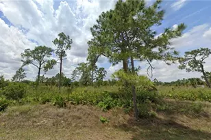 1109 James Ave, Lehigh Acres, FL 33936 - Photo 1