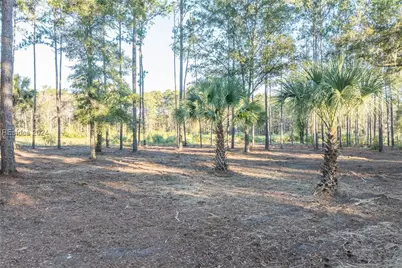 88 Lupine Road, Bluffton, SC 29910 - Photo 24