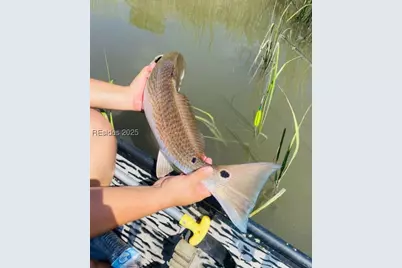 88 Tomotley Barony Drive, Seabrook, SC 29940 - Photo 20