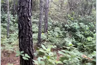 505 Sisters Ferry Road, Ridgeland, SC 29936 - Photo 8