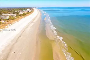 44 Pink Sand Ln, Hilton Head Island, SC 29926 - Photo 38