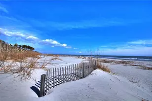 44 Pink Sand Ln, Hilton Head Island, SC 29926 - Photo 42