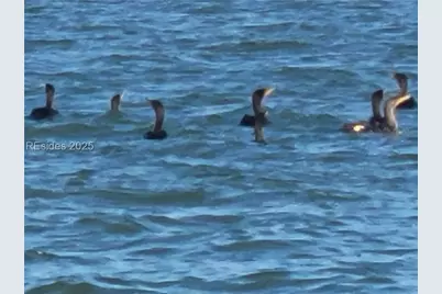 663 William Hilton Parkway #3205, Hilton Head Island, SC 29928 - Photo 54