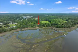 47 Okatie Bluff Rd, Okatie, SC 29909 - Photo 54