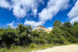 1 Fuskie Ln, Daufuskie Island, SC 29915 - Photo 44