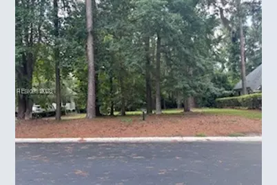 19 E Summerton Court, Bluffton, SC 29910 - Photo 4