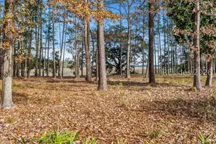 146 Cutter Cir, Bluffton, SC 29909 - Photo 8