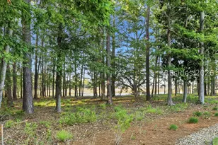 146 Cutter Cir, Bluffton, SC 29909 - Photo 36