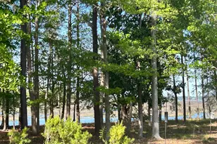 146 Cutter Cir, Bluffton, SC 29909 - Photo 2