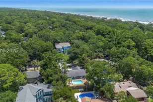 8 Flamingo St, Hilton Head Island, SC 29928 - Photo 44