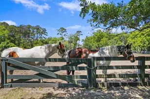 6 Lighthouse Ln, Hilton Head Island, SC 29928 - Photo 46
