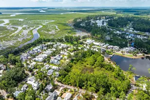 424 Corley St, Bluffton, SC 29910 - Photo 66