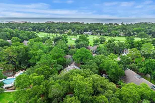 59 Carnoustie Rd, Hilton Head Island, SC 29928 - Photo 46