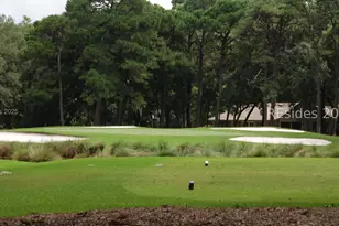 2 Resolute Pl, Hilton Head Island, SC 29928 - Photo 54