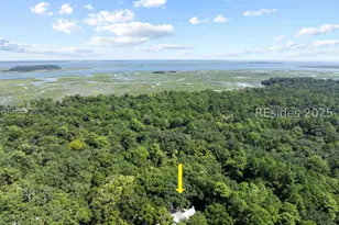 303 Spring Island Dr, Okatie, SC 29909 - Photo 96