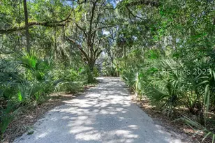 303 Spring Island Dr, Okatie, SC 29909 - Photo 94