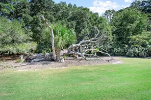 303 Spring Island Dr, Okatie, SC 29909 - Photo 90