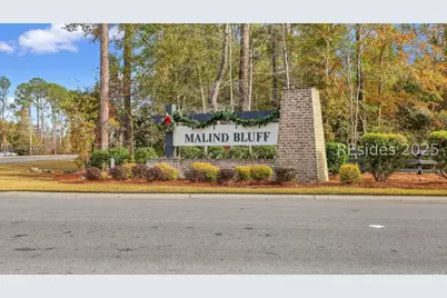 844 Danner Drive, Okatie, SC 29909 - Photo 94